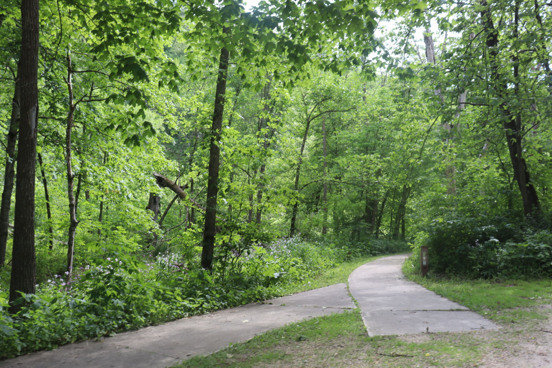 Walking path